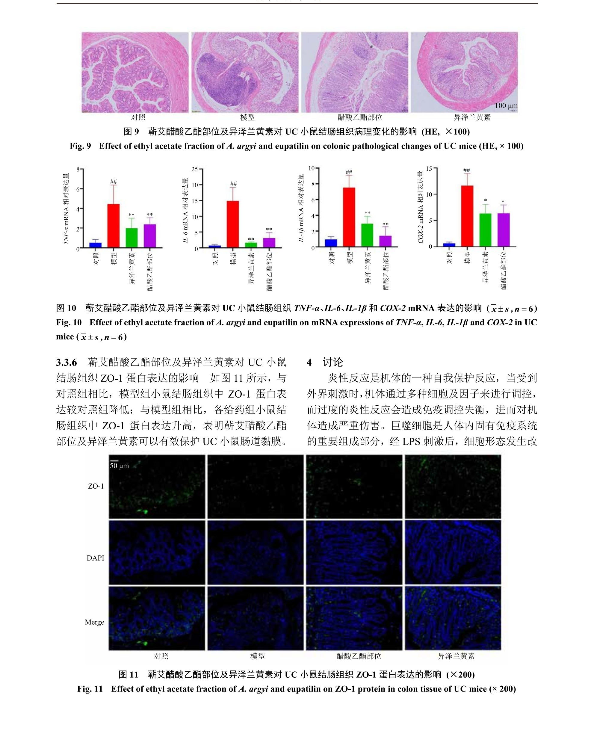 学术 (436).png