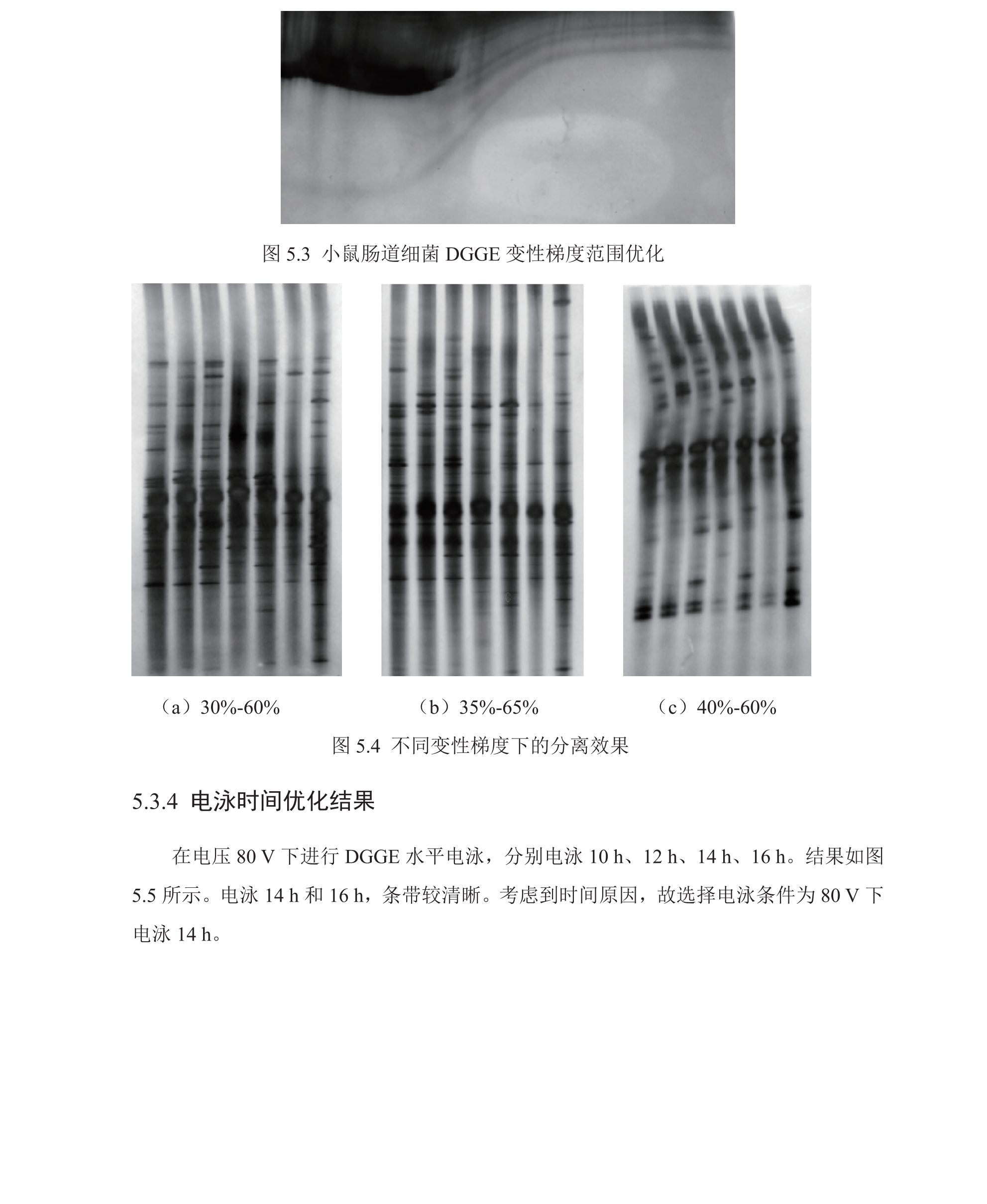 学术 (198).png