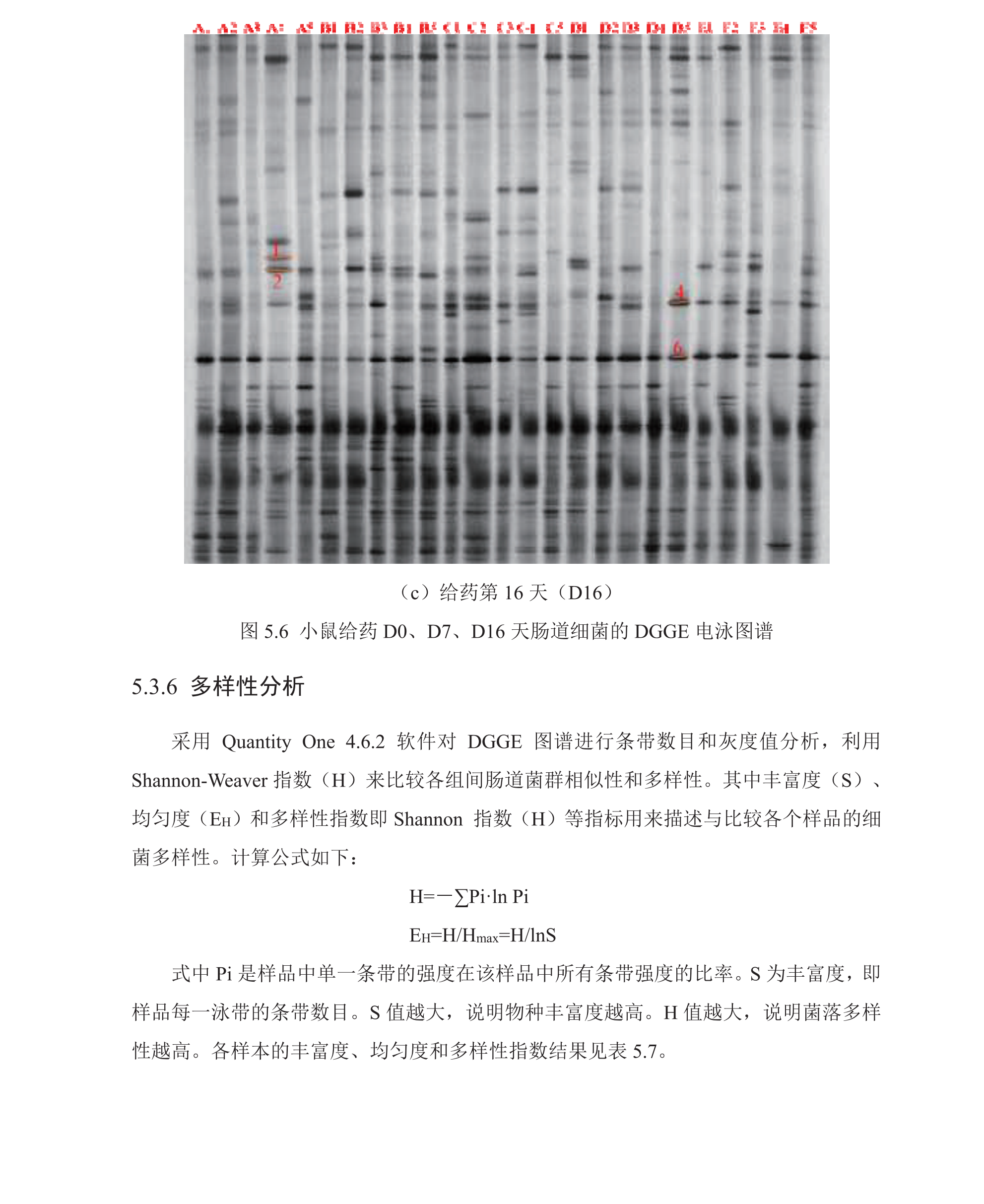 学术 (201).png